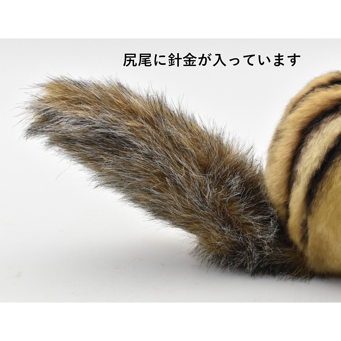 リス シマリス 25 | HANSA
