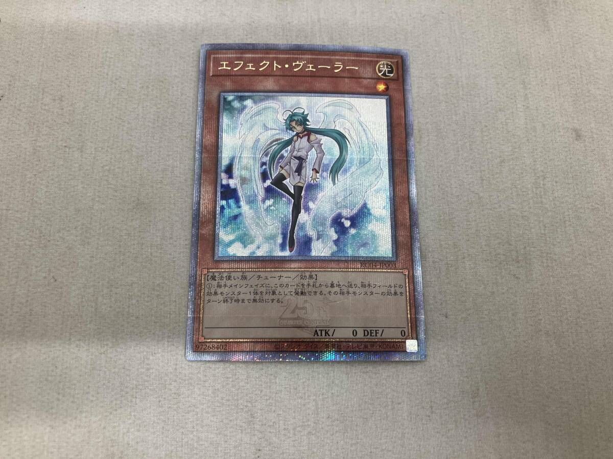 洋種つばき ファイアダンス 苗木 もうすぐ開花 蕾あり 2025年最新】2月