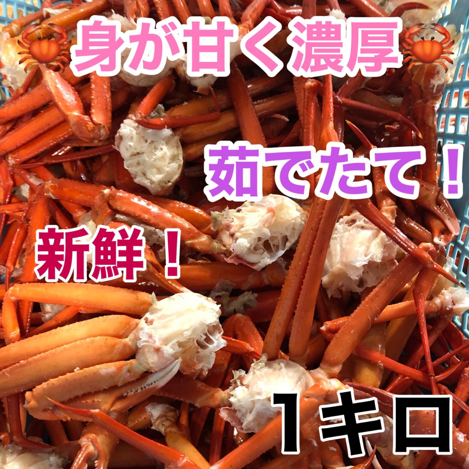 新鮮激ウマ！北海道小樽産！紅ズワイ蟹セクション1キロ送料込み4200円-0