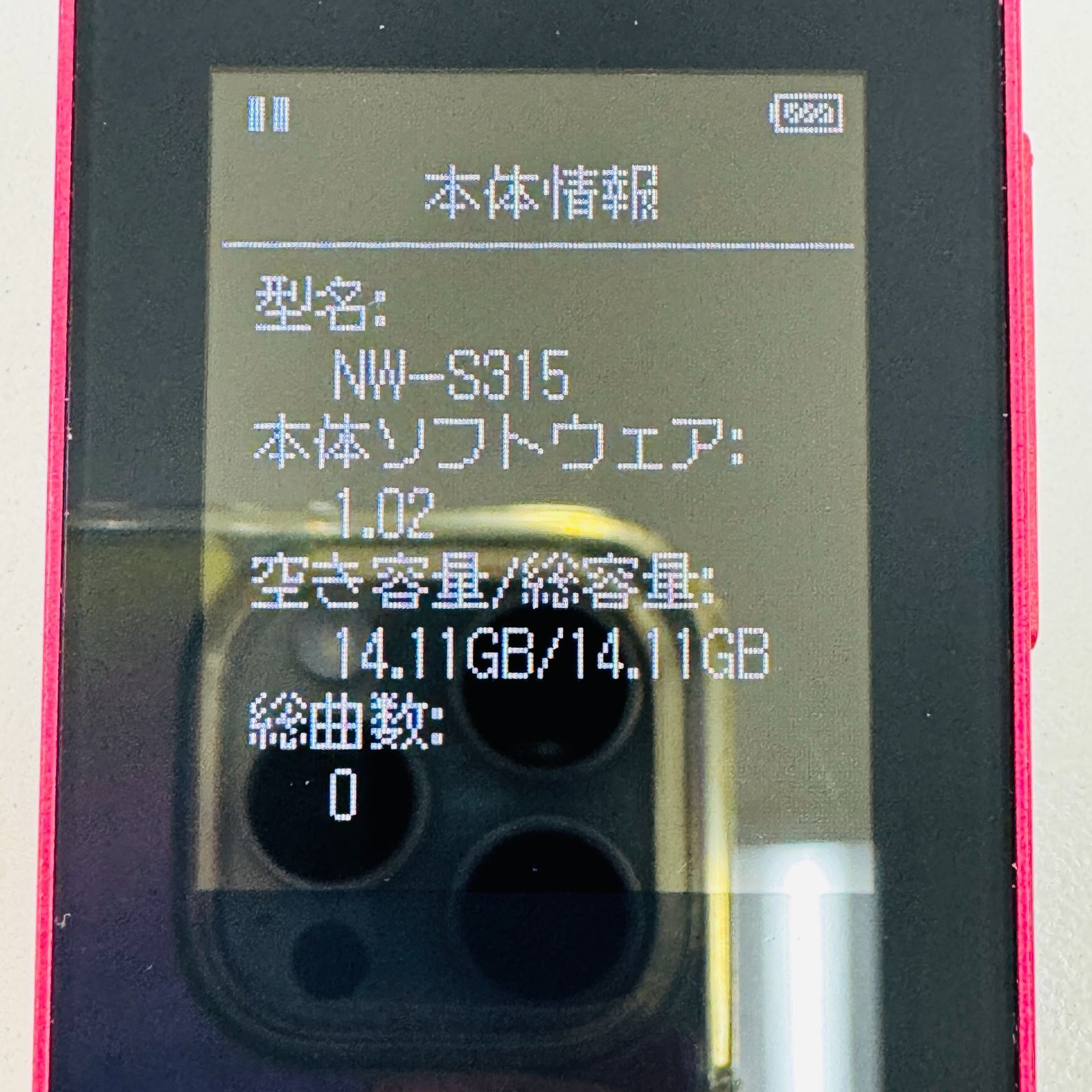 A【初期化済み】SONY WALKMAN ソニー ウォークマン 16GB NW-S315