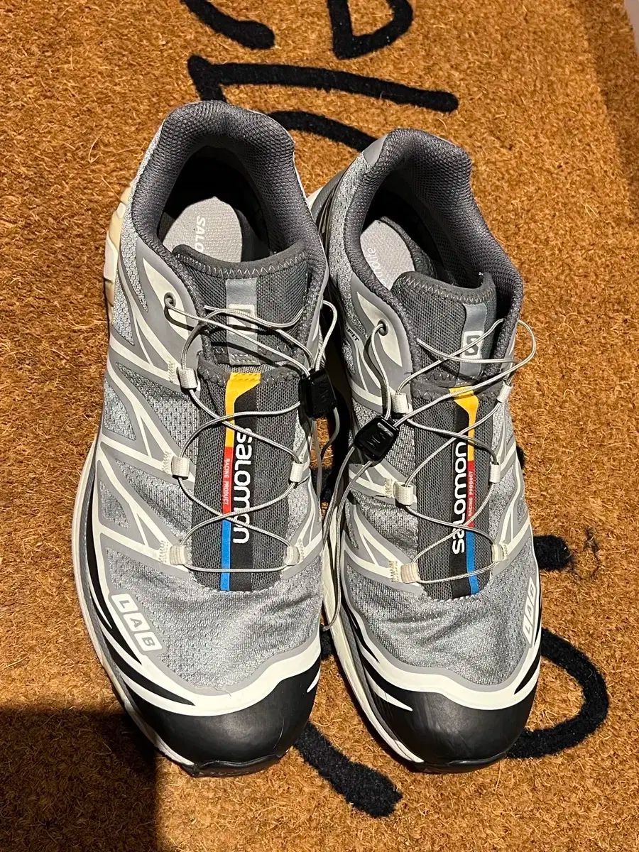 SALOMON サロモン xt6 ファントム バニラ 290