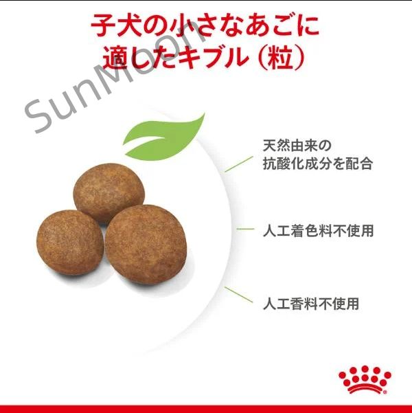 パピー 15kg