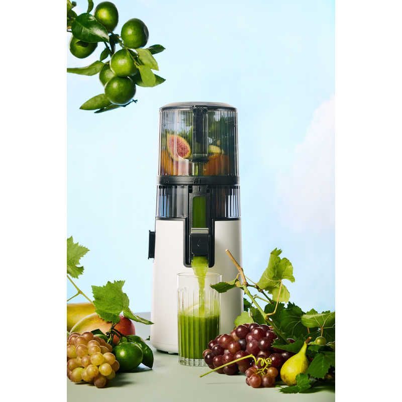 HUROM コールドプレスジューサー　H200 ヒューロム コールドプレスジューサー H-200シリーズ 楽天市場