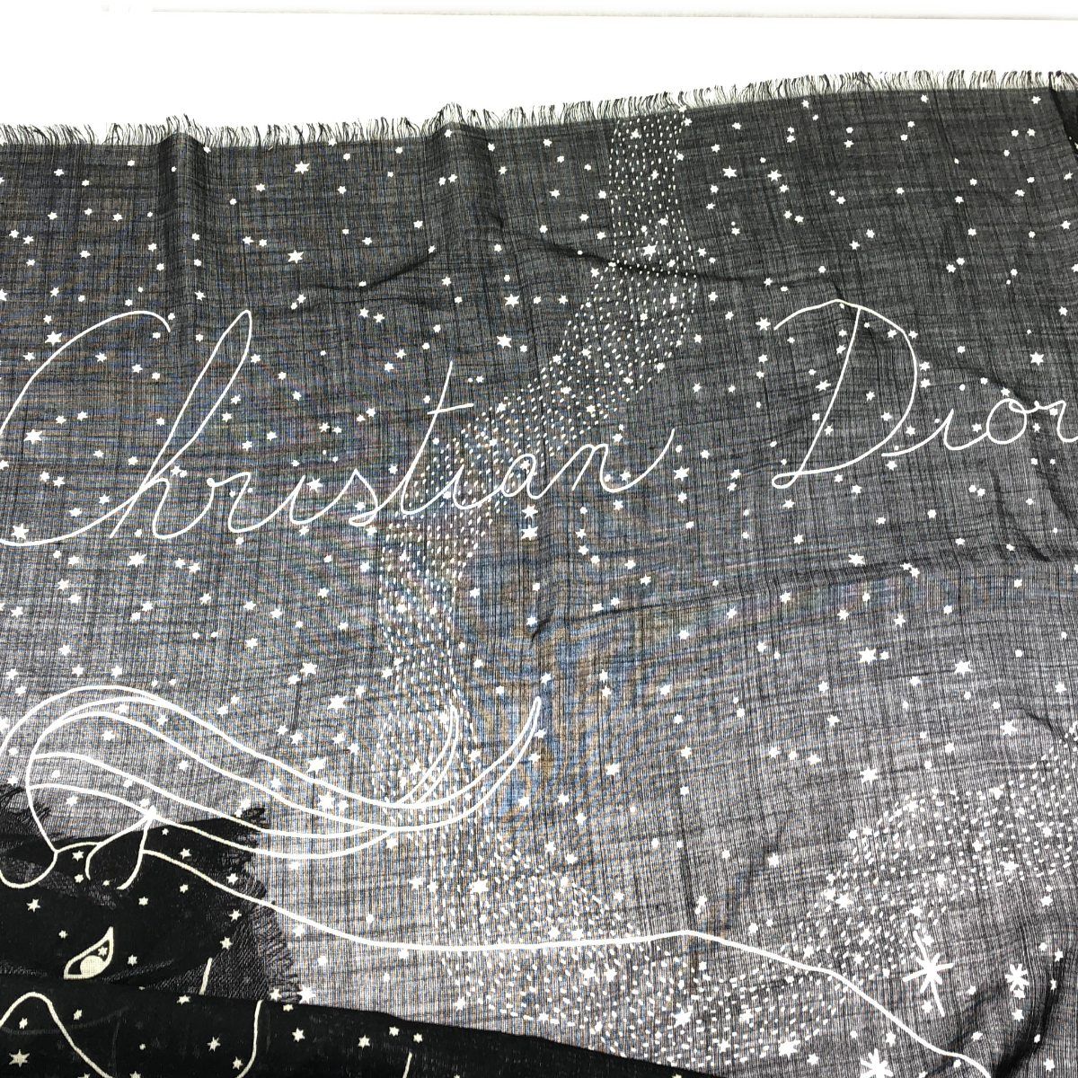 Christian Dior クリスチャンディオール グラフィックデザイン