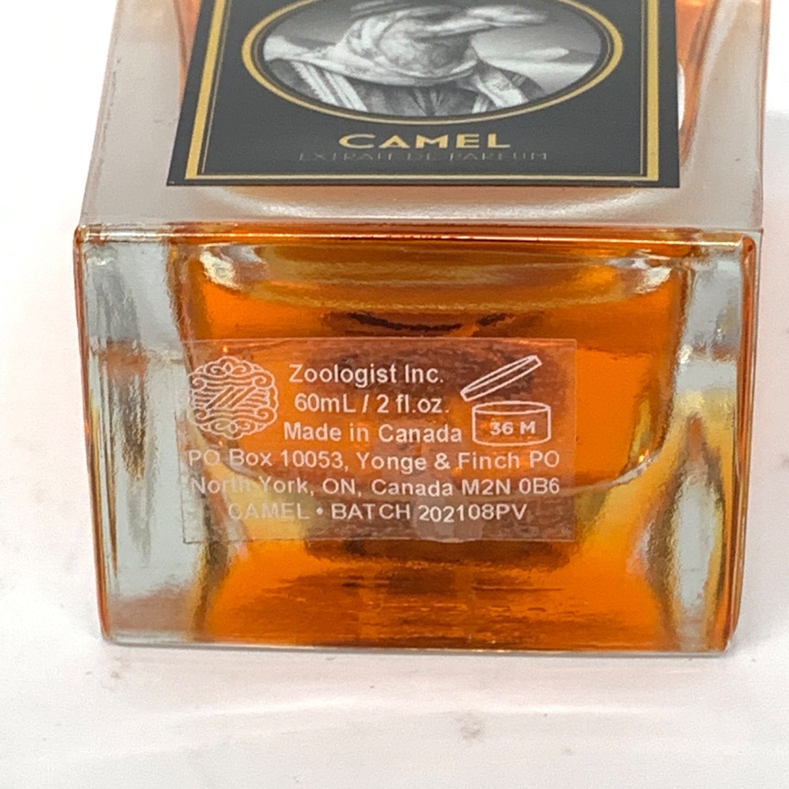 Zoologist CAMEL ラクダ ズーロジスト 【公式通販】