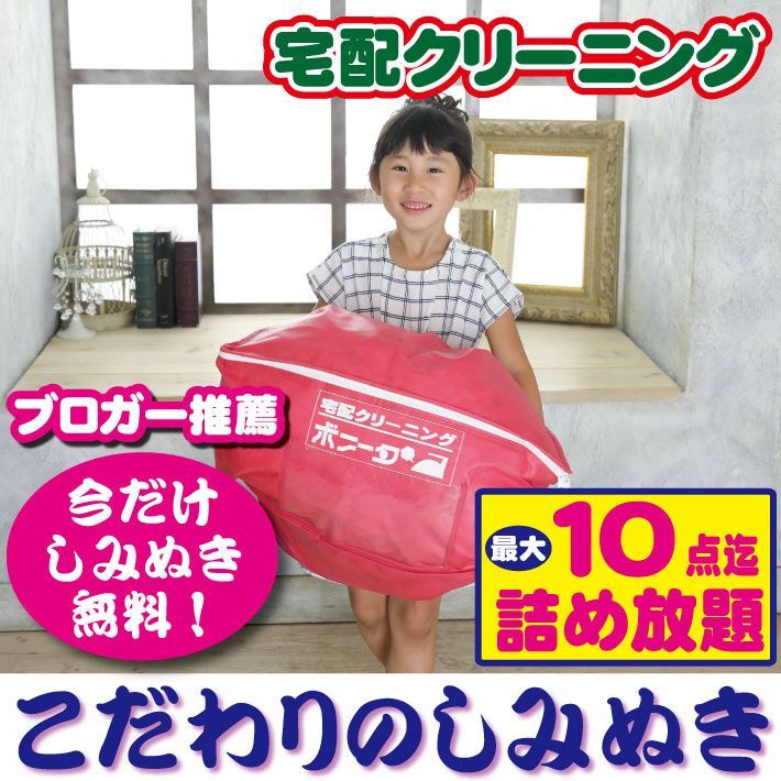 宅配クリーニング １０点まで