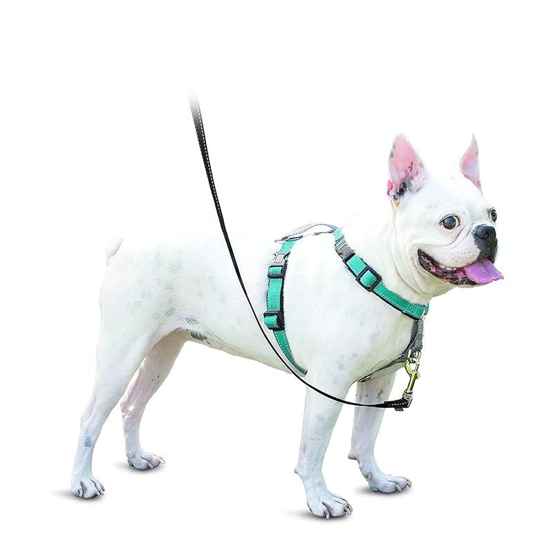PetSafe 3in1ハーネス 引っ張り防止 調整簡単 抜けない 犬 ハーネス S ティール グリーン 1
