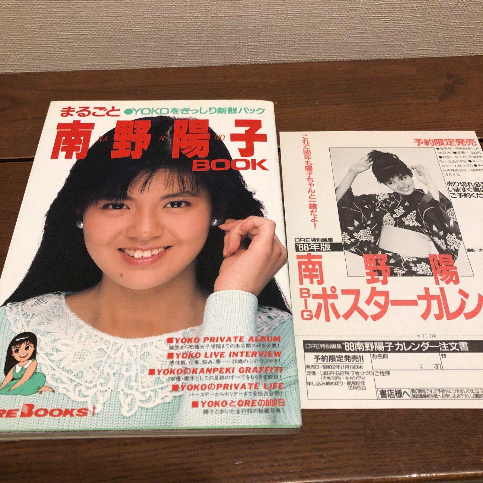 南野陽子 必ずプロフィール必読 - 邦楽