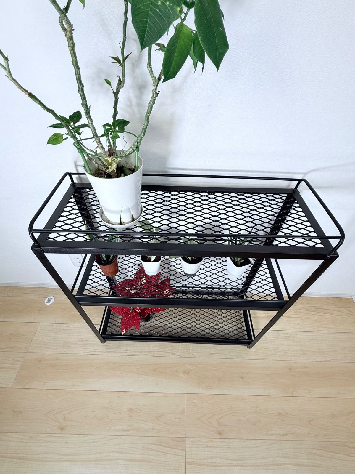 植物棚、アイアンラック、ボタニカルシェルフ、アガベ アイアン