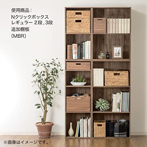 ライトブラウン