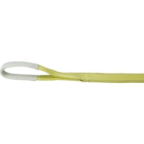 ＴＲＵＳＣＯ ポリエステルスリング ＪＩＳ３等級 両端アイ形 ７５ｍｍＸ２．５ｍ