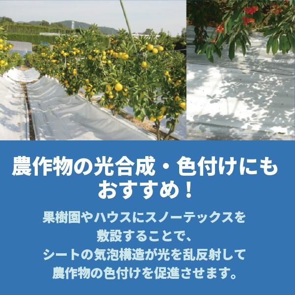 正規代理店 遮熱シート