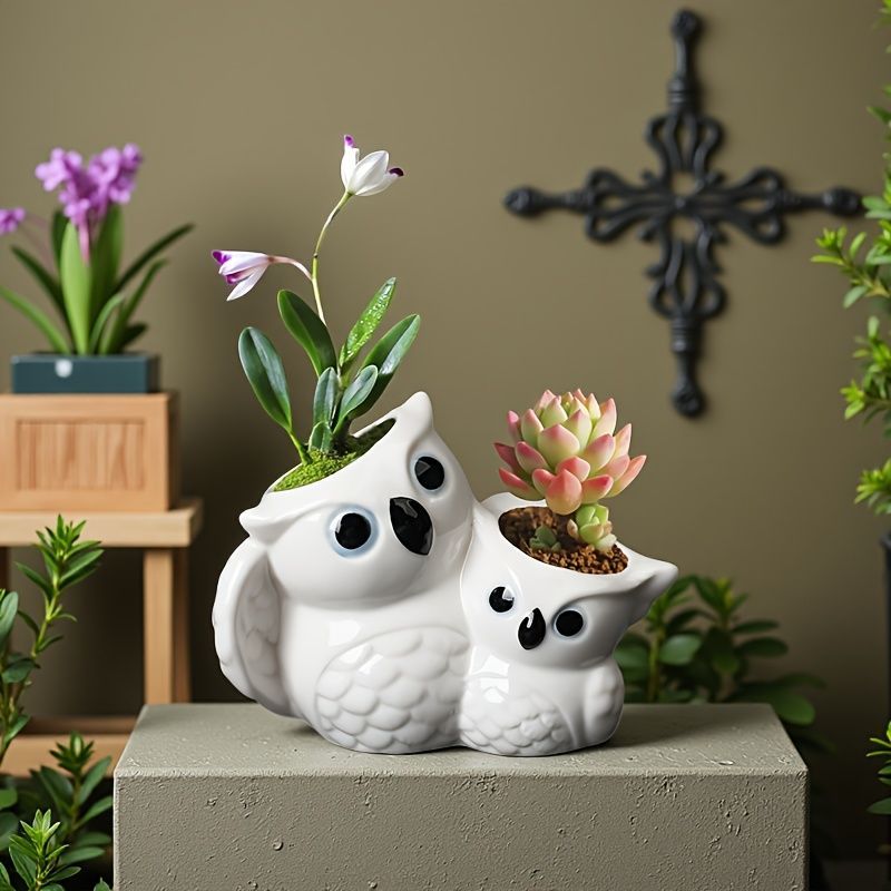 サボテン ユニーク