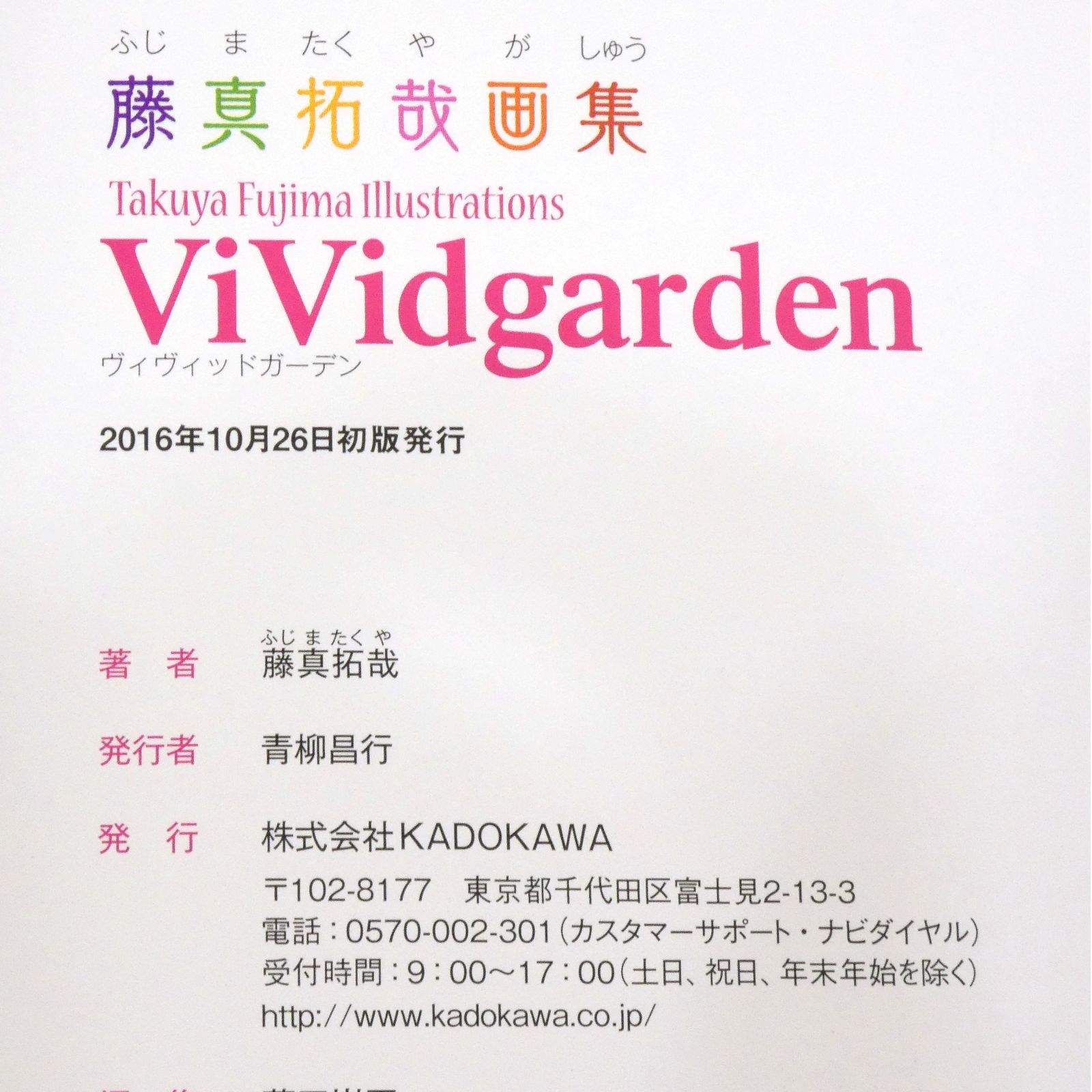 小牧店】藤真拓哉 画集4冊セット「ViVidcolor」「ViVidgirls