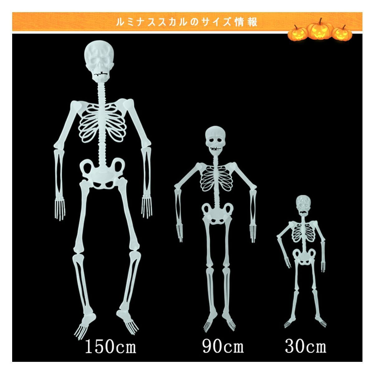 クーポン有】飾り ドクロ 光る スカル 模型 光る 人体 骨格 骸骨