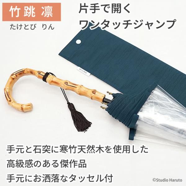 8本骨傘