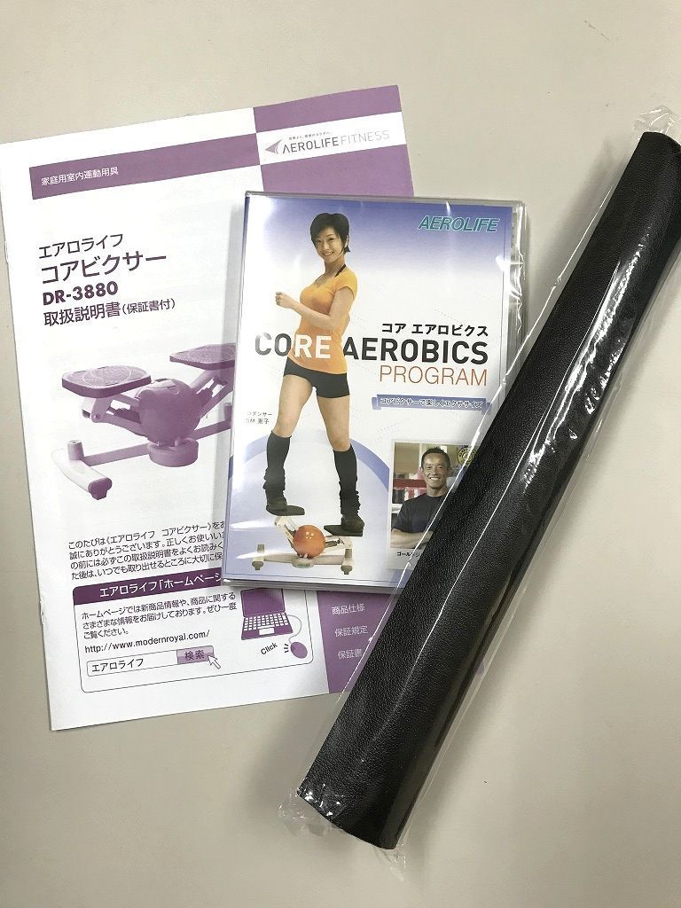 AEROLIFE エアロライフ コアビクサー DR-3880GG グレージュ 【公式通販】