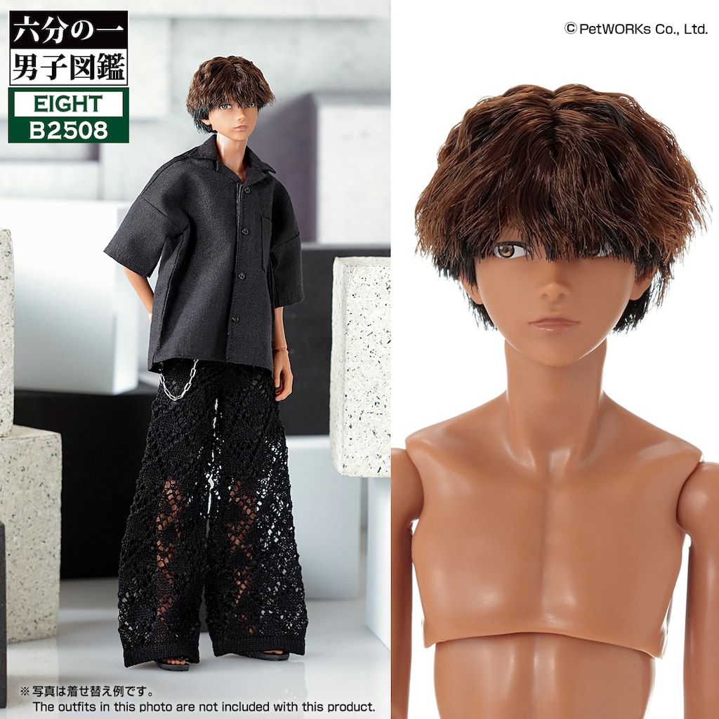 ☆新品☆ペットワークス 六分の一男子図鑑 エイト B2508 - メルカリ
