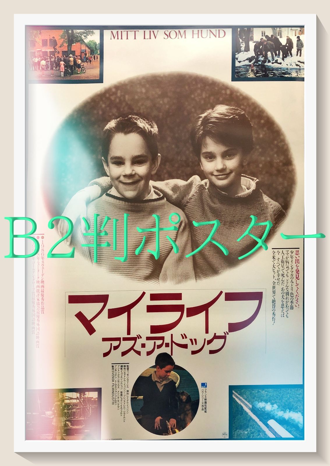 マイライフ アズ・ア・ドッグ B2ポスター マイライフ・アズ・ア・ドッグ』日本版劇場オリジナルポスター・B2