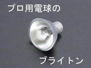 中古】 FPC-200 シリーズ用 コールドミラー付ハロゲンランプ