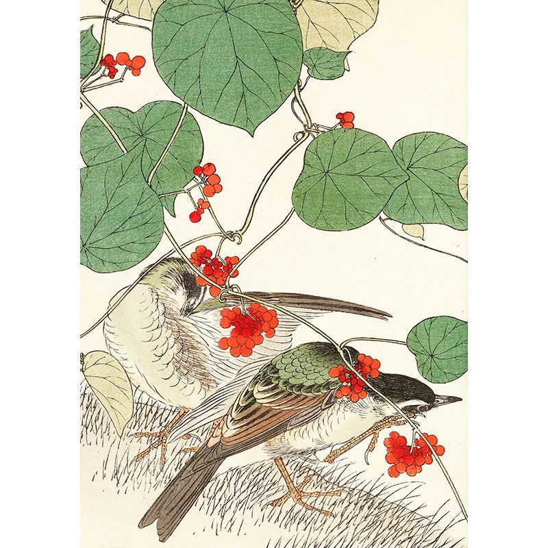 A3サイズ 今尾景年 ポスター 花鳥画譜 ハスノハカズラ・赤ハラ