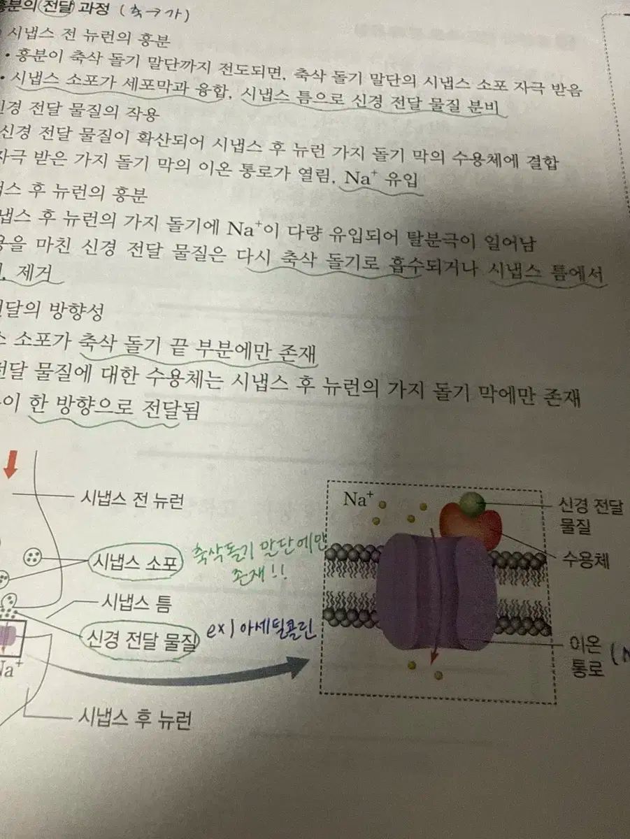 2026 白虎