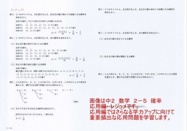 人気の福袋 正式的 新品 未使用 プロが教える 数学 中学 2年 Dvd 授業 応用 問題集 参考書 単品販売 参考書 Www Liberisogni Org Www Liberisogni Org