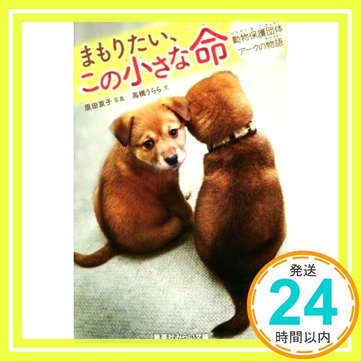 まもりたい この小さな命 動物保護団体アークの物語 集英社みらい文庫 高橋 うらら 原田 京子_02