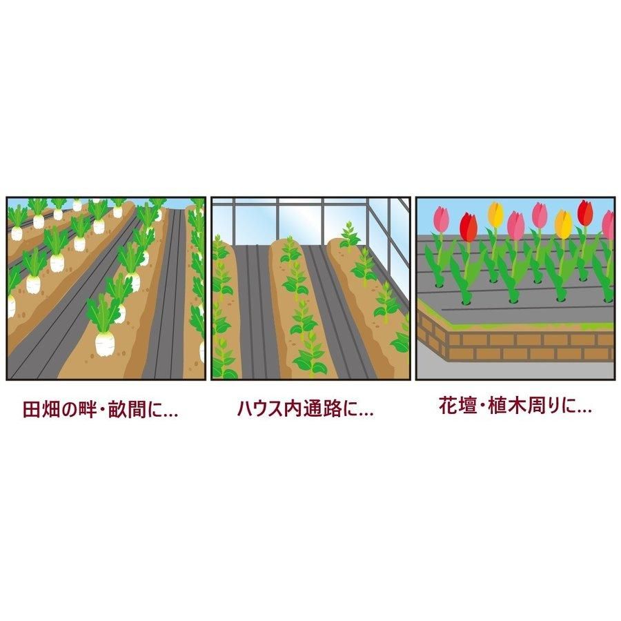 1m×100ｍ 抗菌剤入