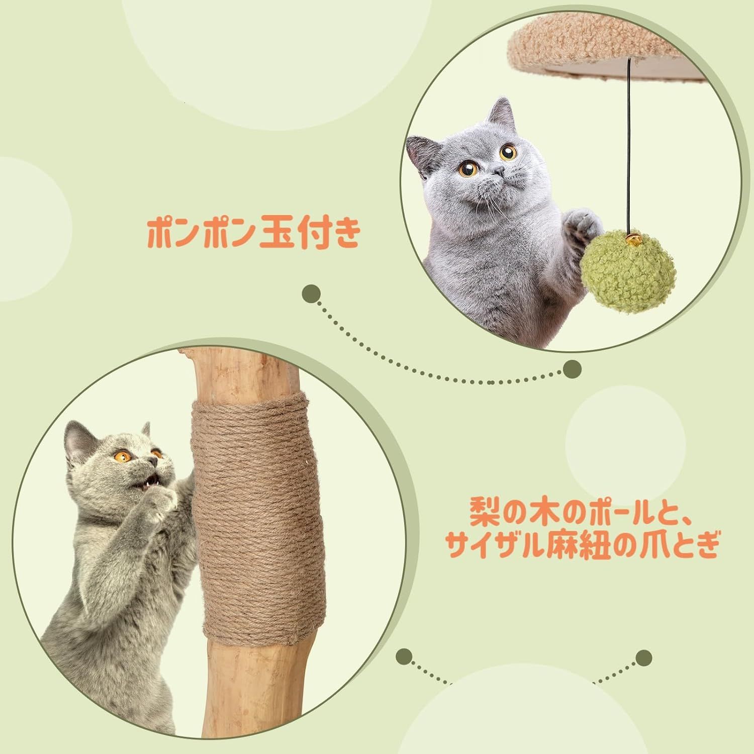 運動不足解消