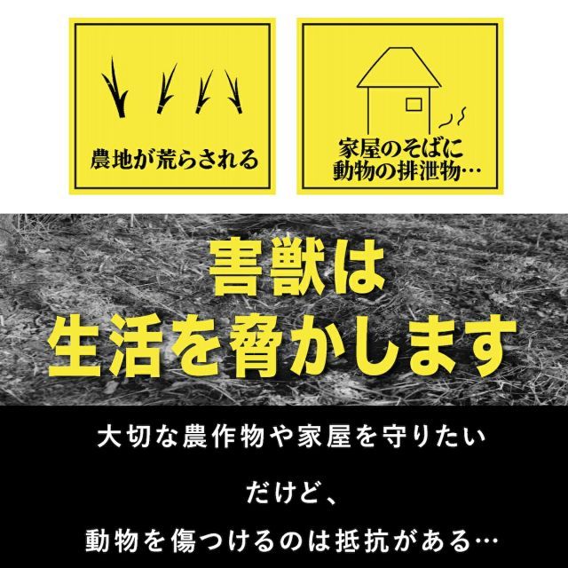 鹿 シカ