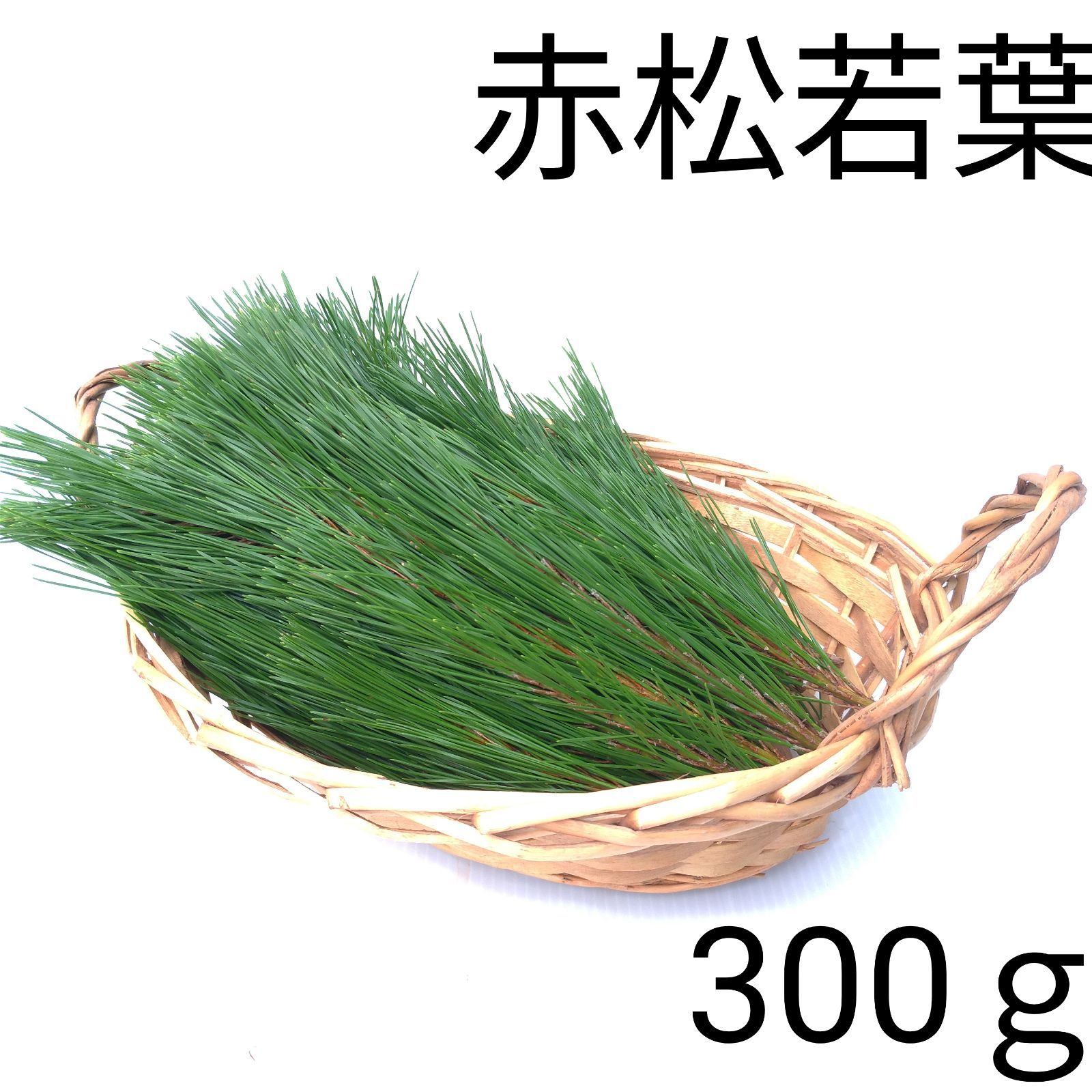 天然無農薬】赤松若葉 約300g - メルカリ
