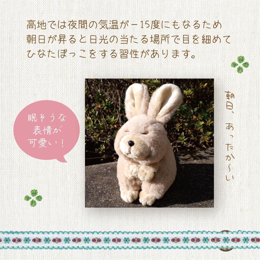 新着商品】ヌイグルミ モンスイユ ビスカッチャ ホワイト 10594 - メルカリ