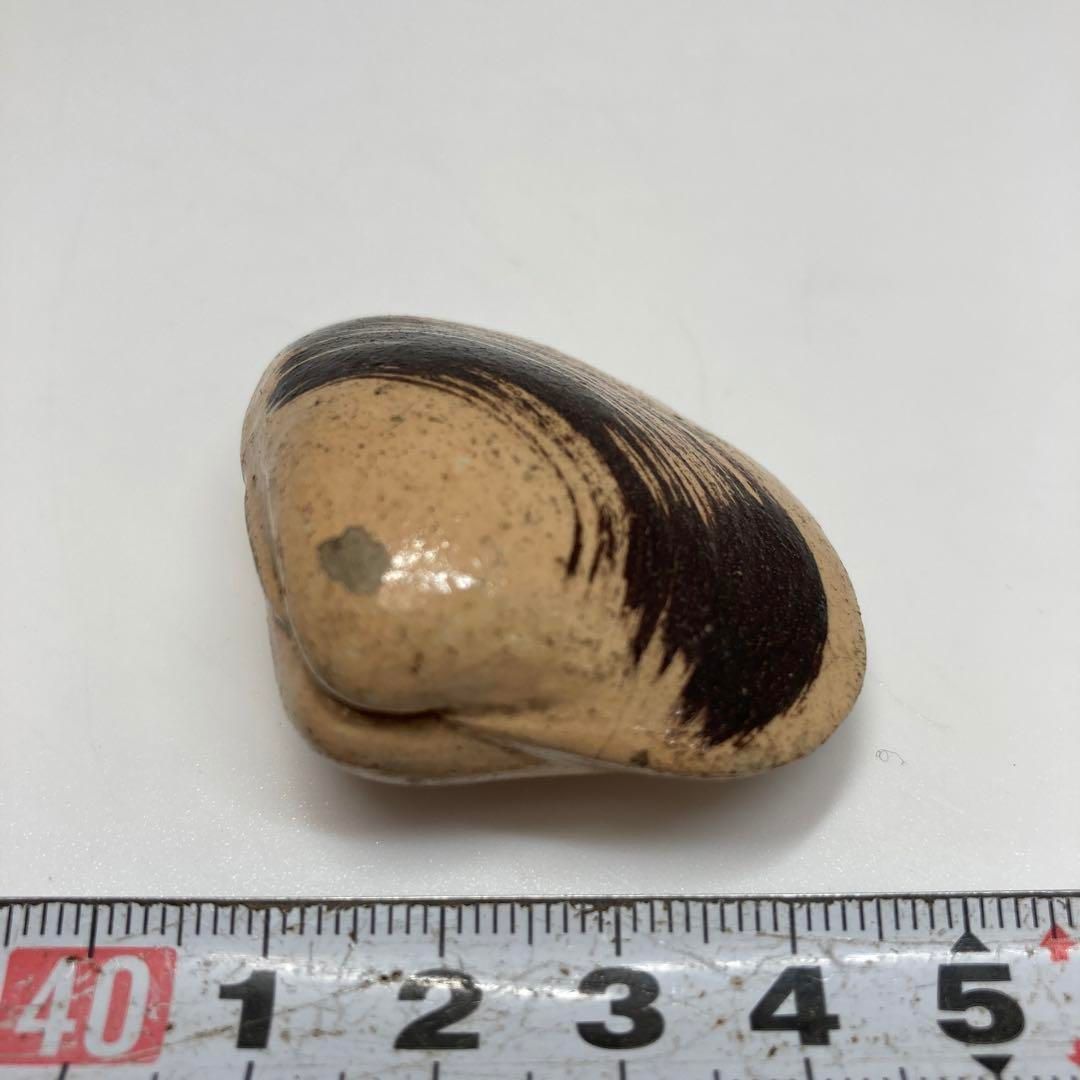 時代 在銘蛤刷毛目根付 最大幅約5㎝ 東Y5-1212