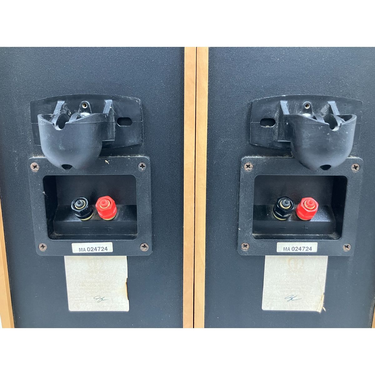 AUDIO