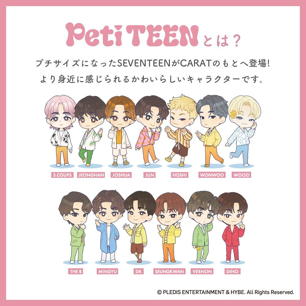 2種セット】SEVENTEEN PetiTEEN JOSHUA 推守アクスタポーチ