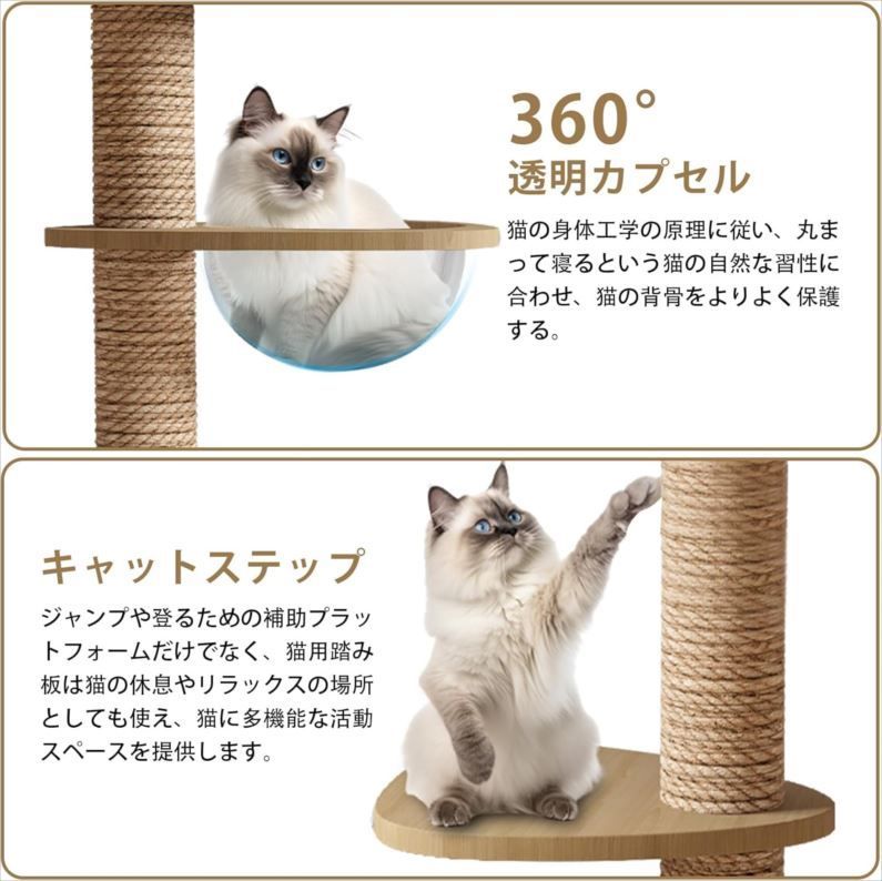 宇宙船 ハンモック