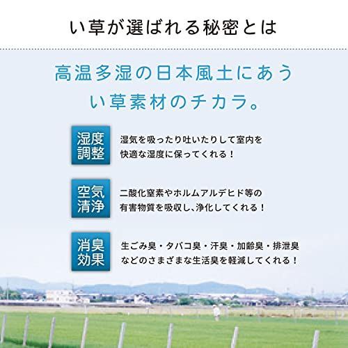 1 畳_江戸間 萩原 い草 上敷き 江戸間1畳 「白馬」 引目織 撥水 抗カビ 傷防止 日焼け防止 - メルカリ