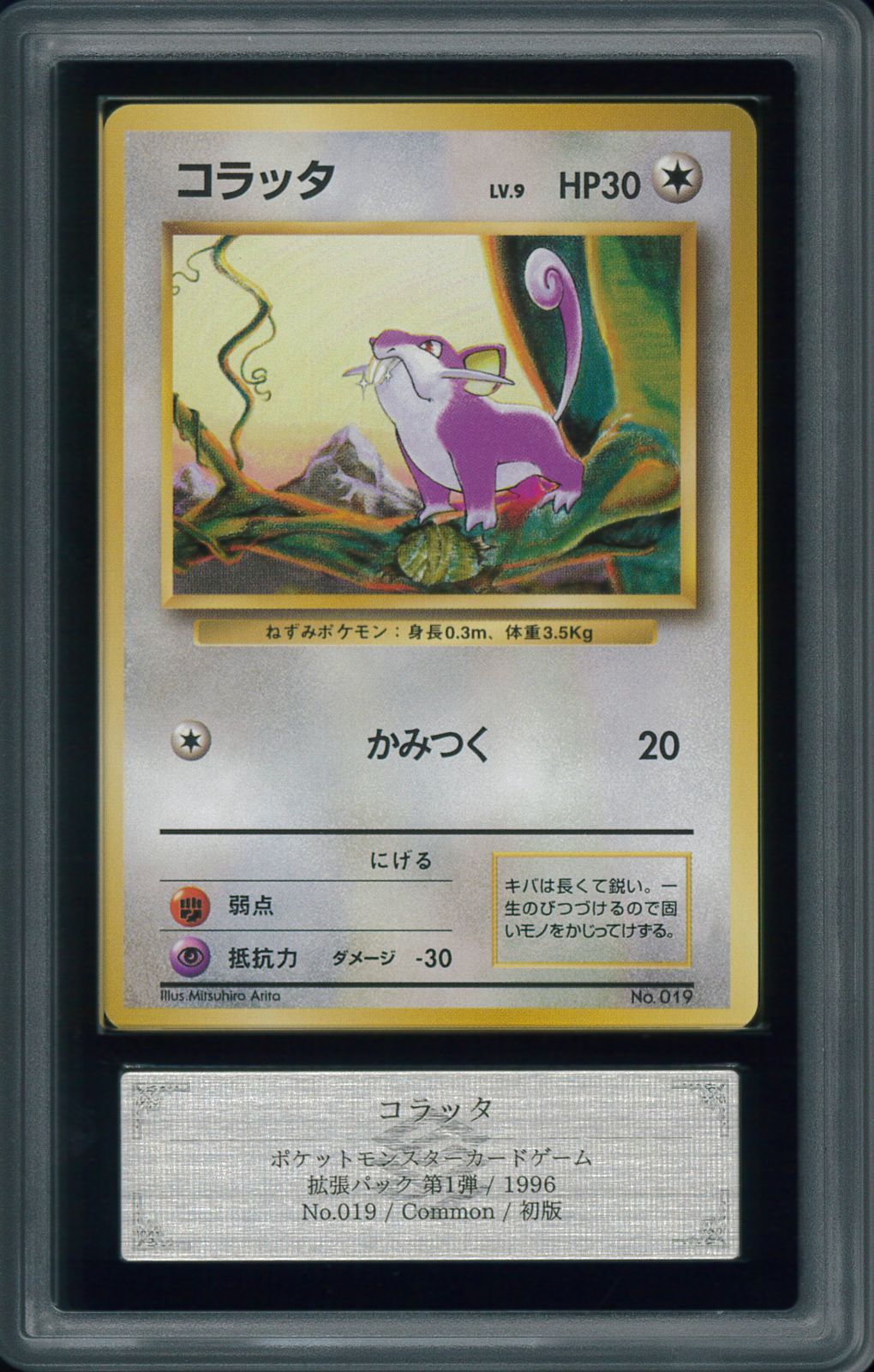 【ARS9】コラッタ 旧裏 拡張シート ARS9】コラッタ 旧裏 拡張シート 〔PSA10鑑定済〕コラッタLV.9