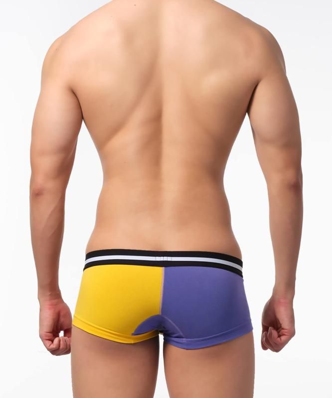 中古】(未使用・未開封品) 月は東に日は西に 藤枝保奈美 1/6