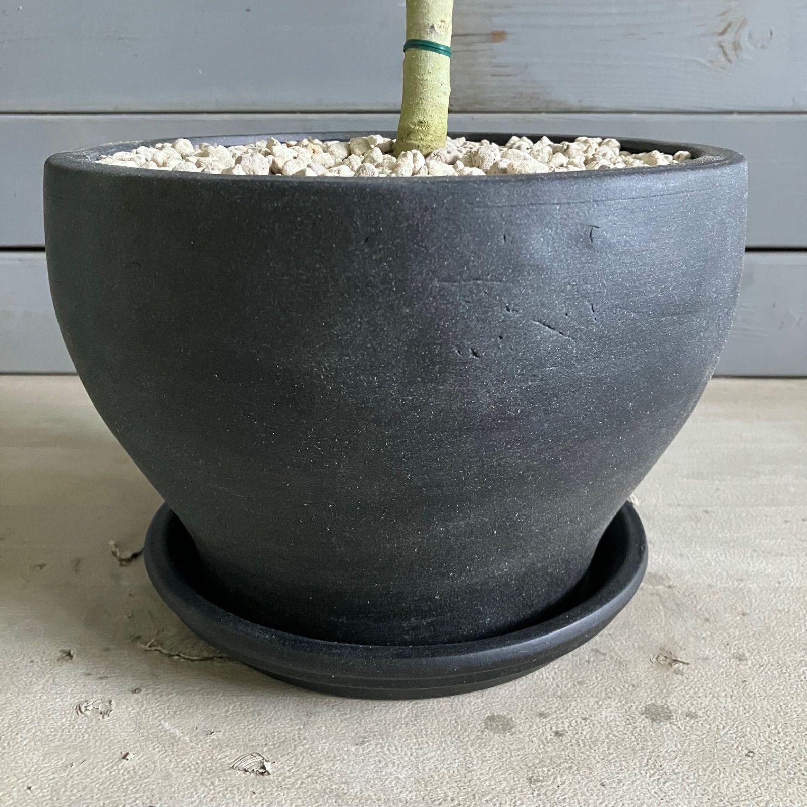 アンティーク風