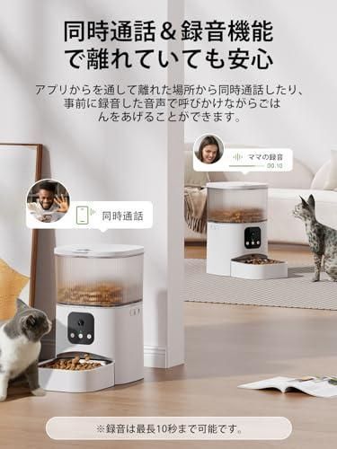 自動給餌器 猫
