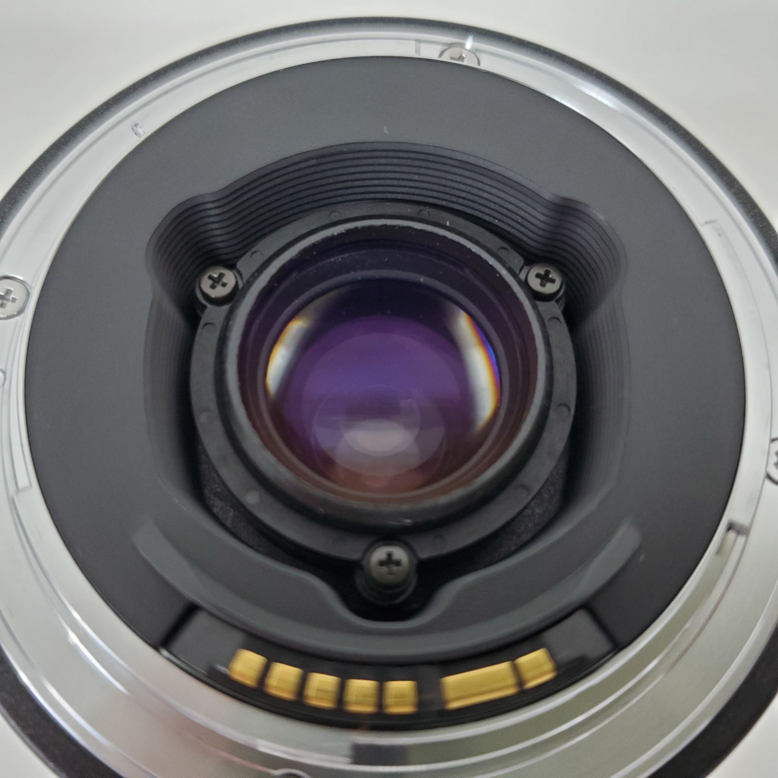 実写作例あり 基本動作確認 タムロン TAMRON TELE-MACRO 100-300mm f/5