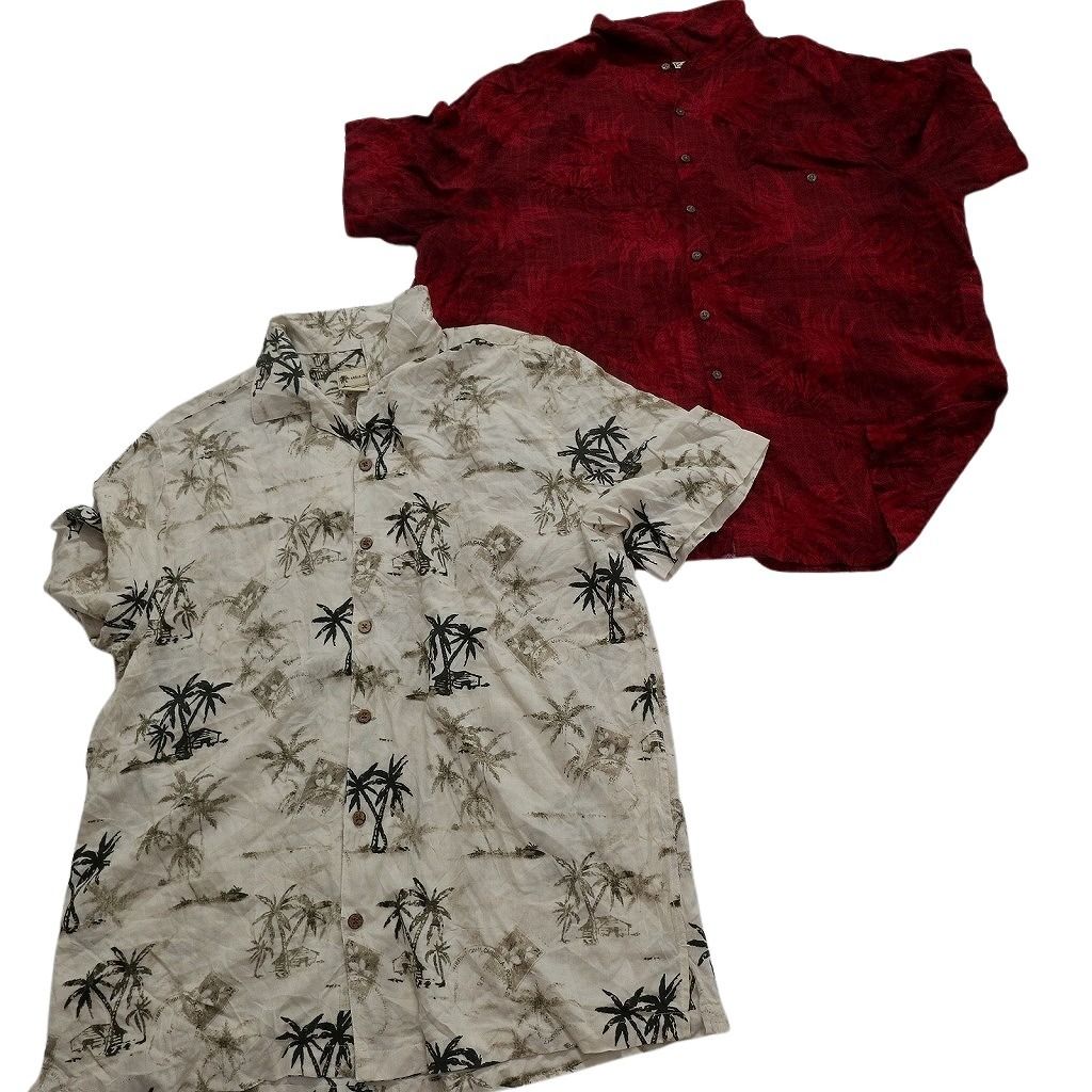 2XL パームツリー