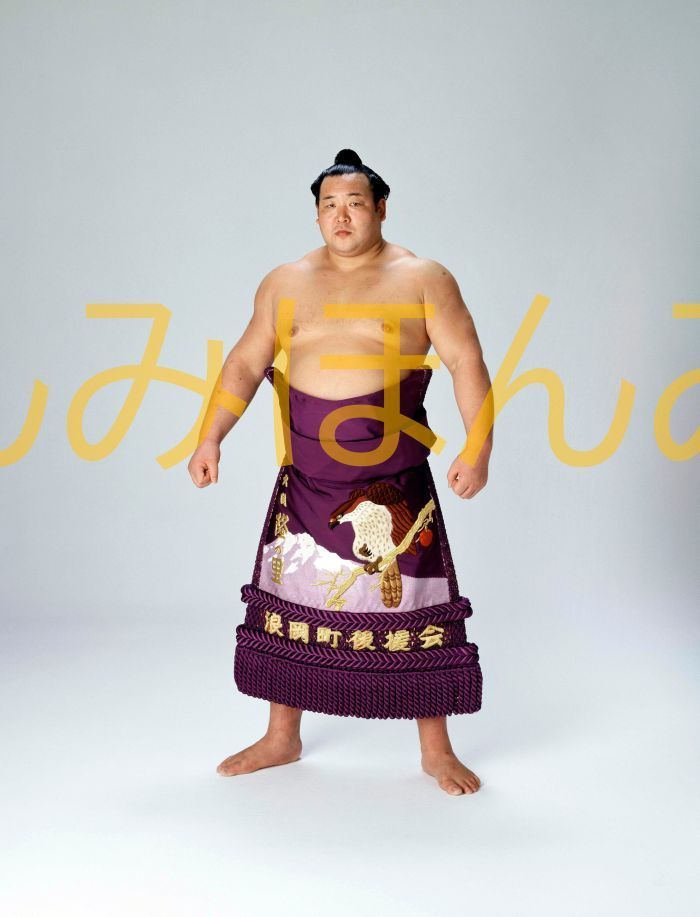 隆の里俊英関 優勝ミニ額 大相撲ミニ額 大相撲優勝額 昭和５７年９月場所 全勝 大関 隆の里俊英関（初優勝） ※受注生産品のため、ご注文後はいかなる理由でも返品、返金はできません