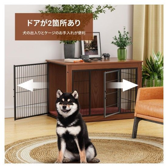 犬 ブラウン