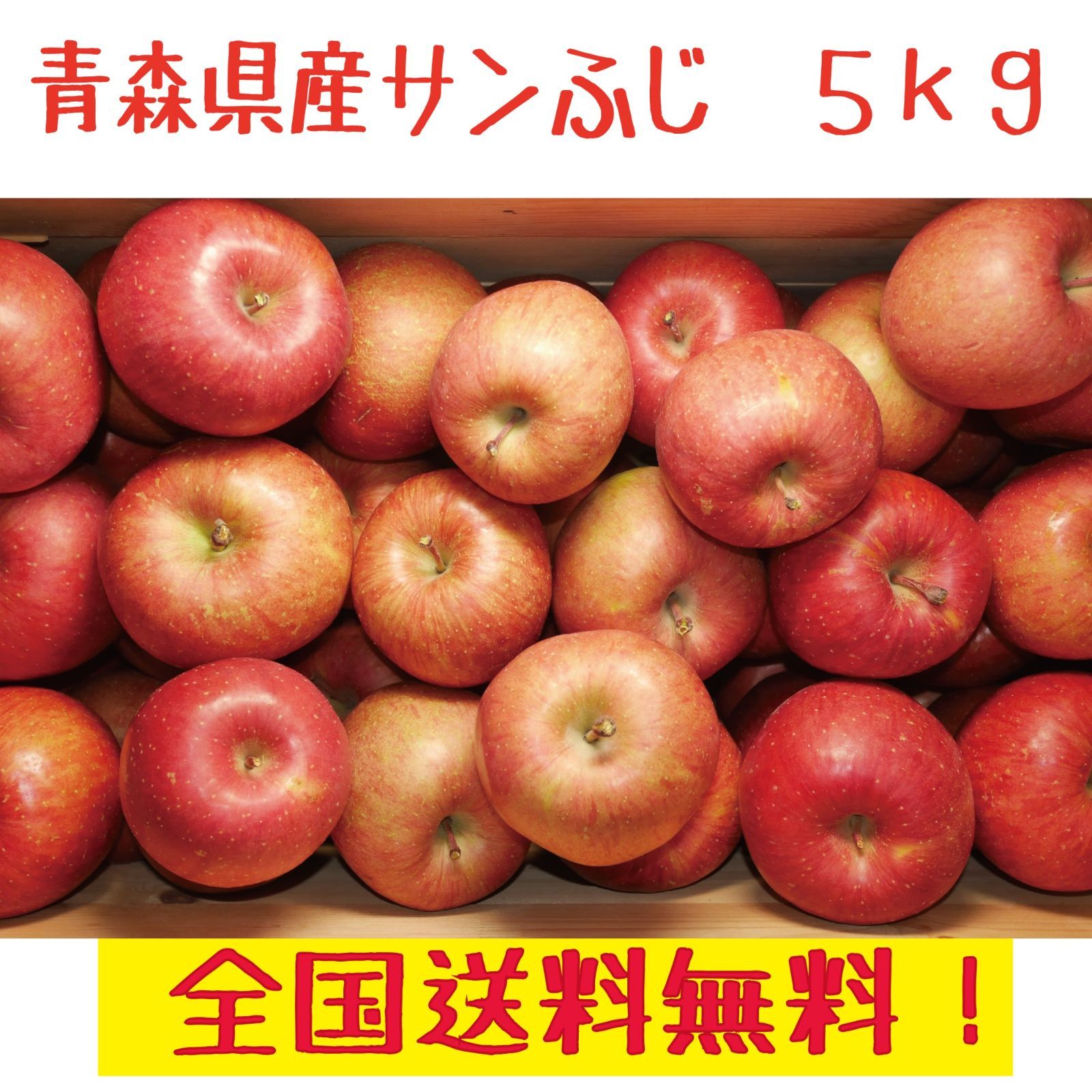 青森県産りんご　訳あり　サンふじ　５ｋｇ　送料無料！