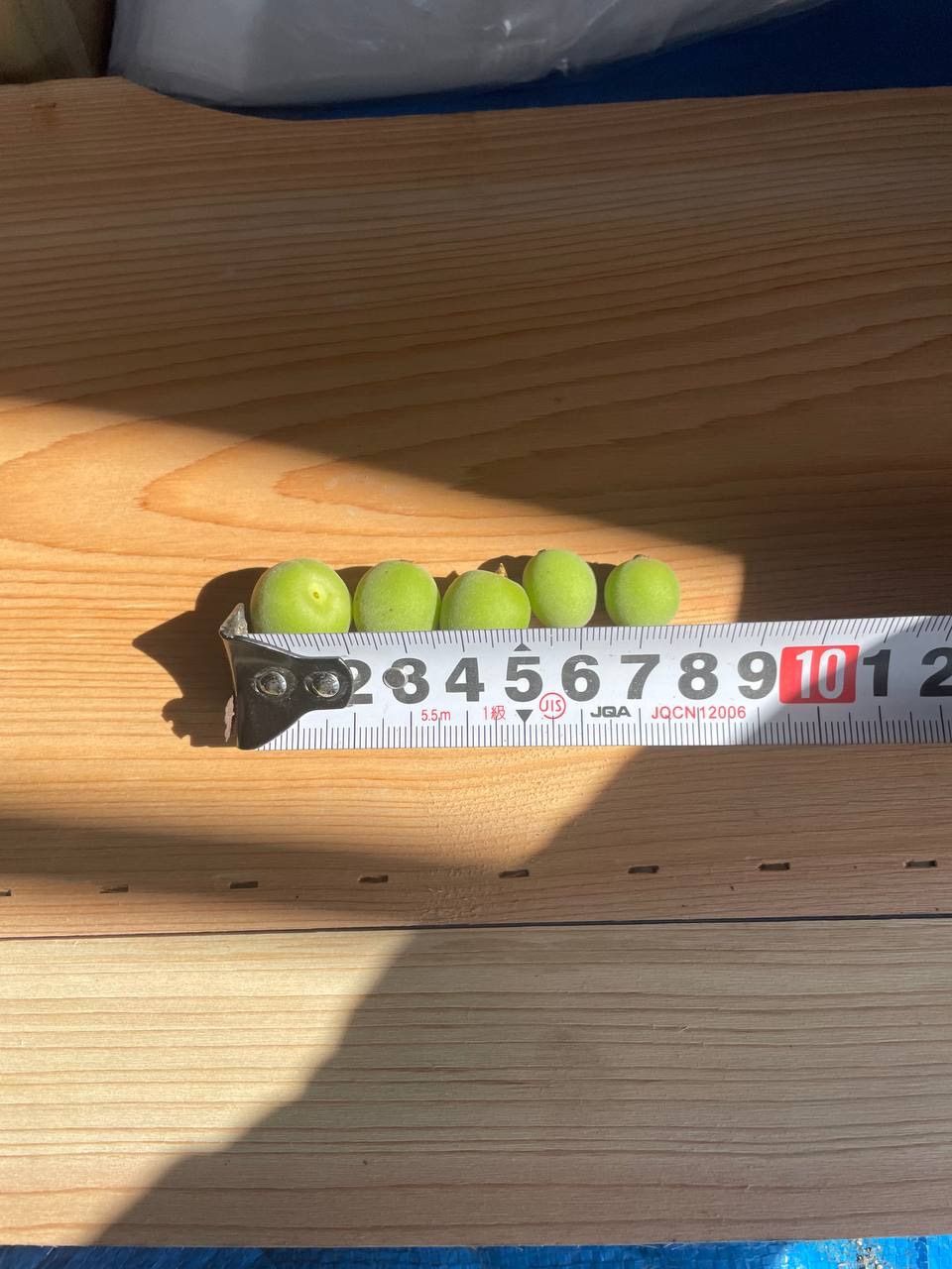 10kg