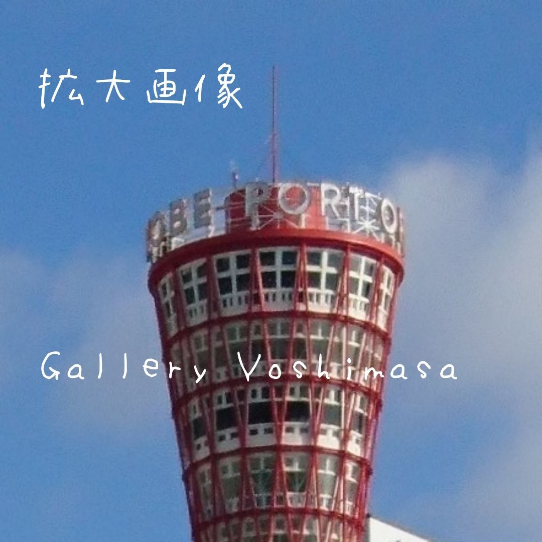 アート・写真 みなと神戸に咲く華 「ユリカモメ」 A3 サイズ光沢写真縦