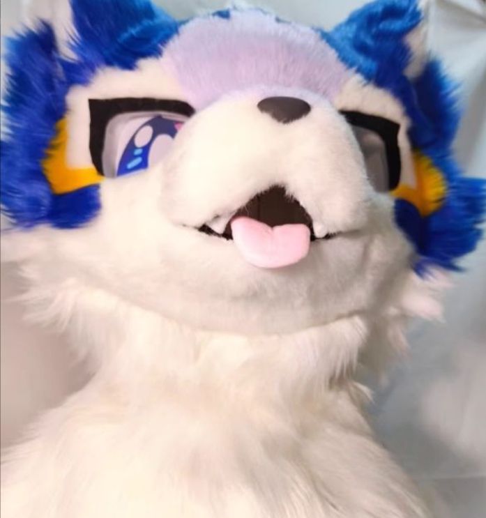 ケモノ 着ぐるみ 犬 青 着ぐるみヘッド 犬 青 ブルー 全頭ヘッド ケモノ ファースーツ
